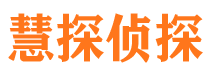 平安市侦探公司